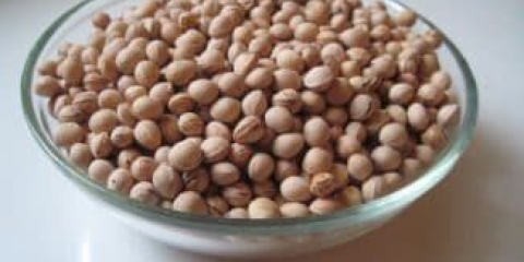 Da li je moguće uzgajati trešnje iz koštice kod kuće i kako to učiniti